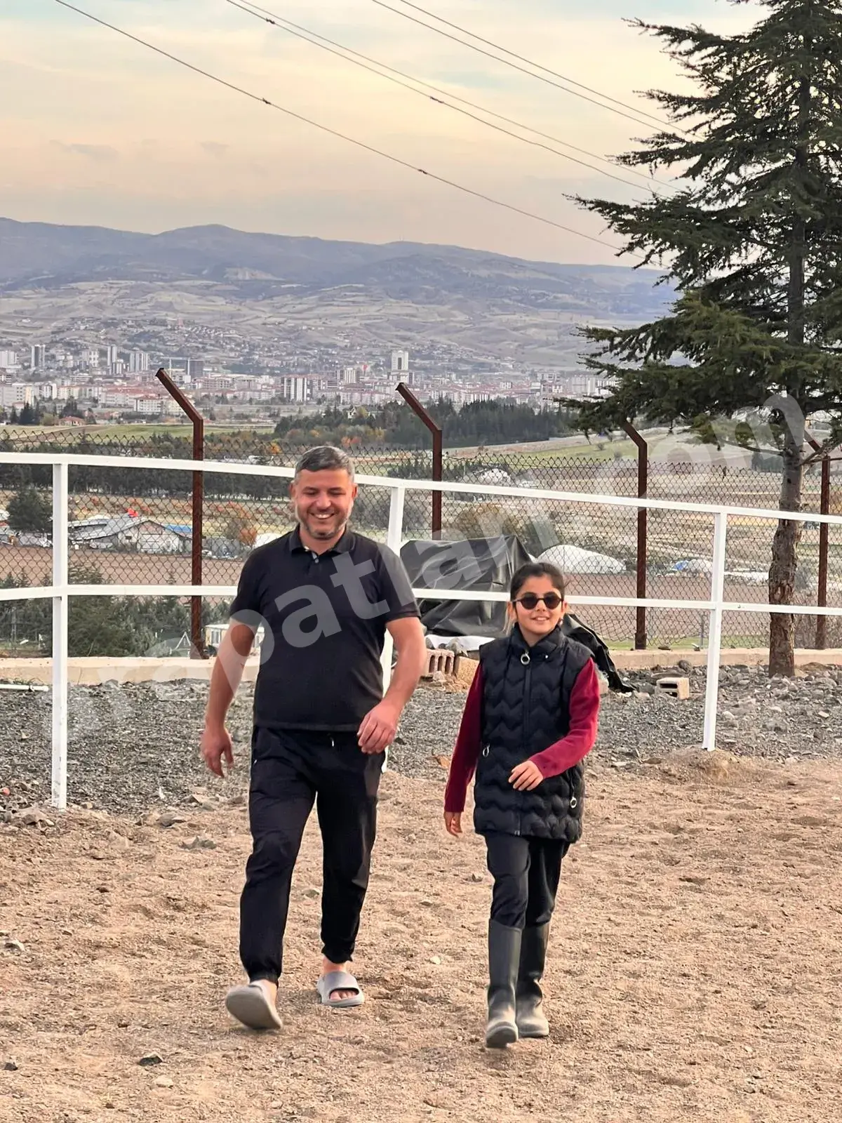 Arapatları çiftliği — Ankara'da aile işletmesi safkan Arap atı yetiştiriciliği