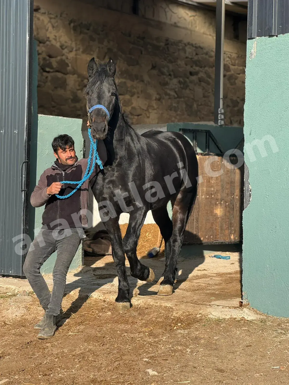 Kamera sistemi ve 7/24 gözetim — Arapatları Ankara at pansiyonu