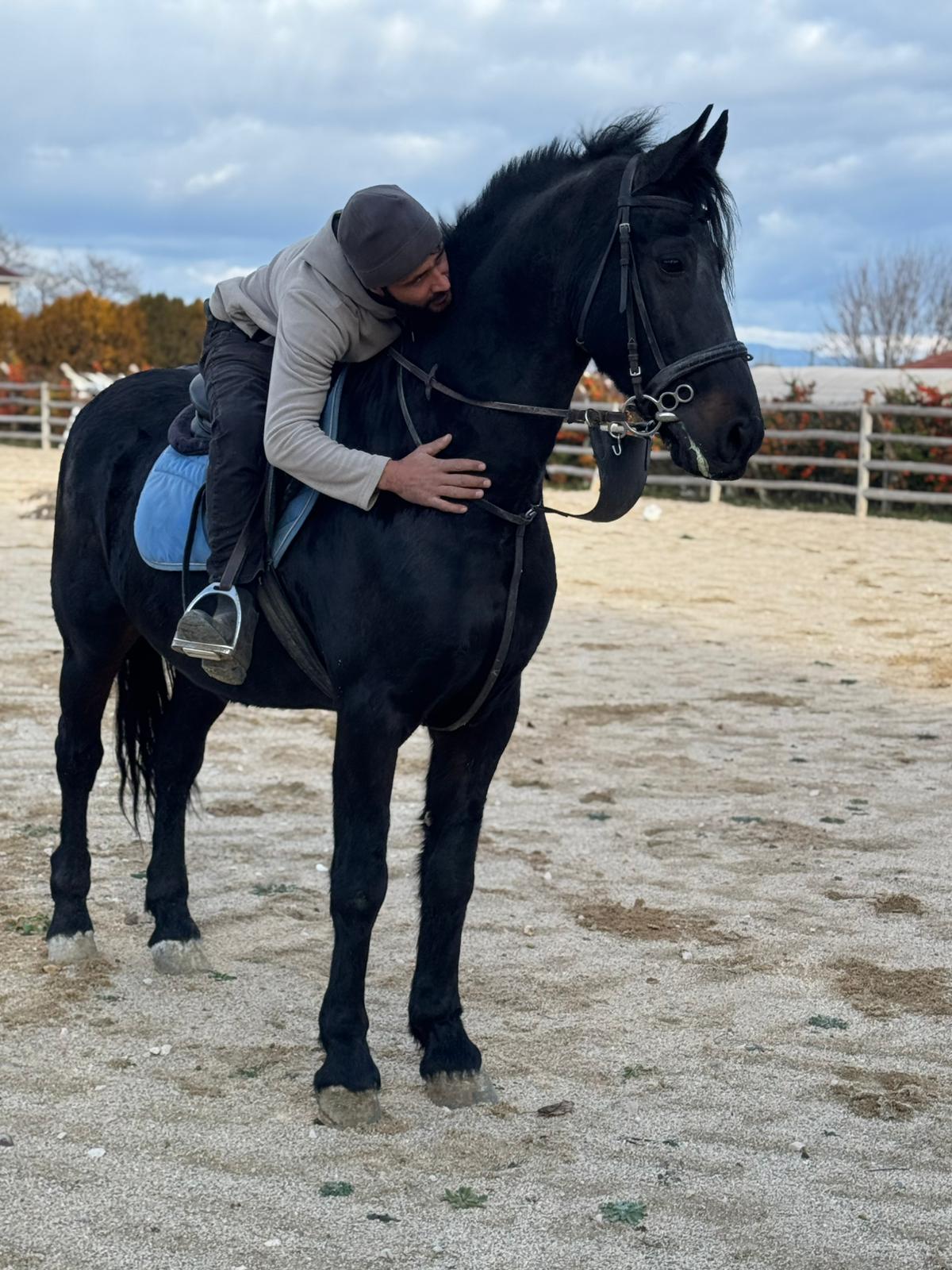 Satılık Arapatları 2